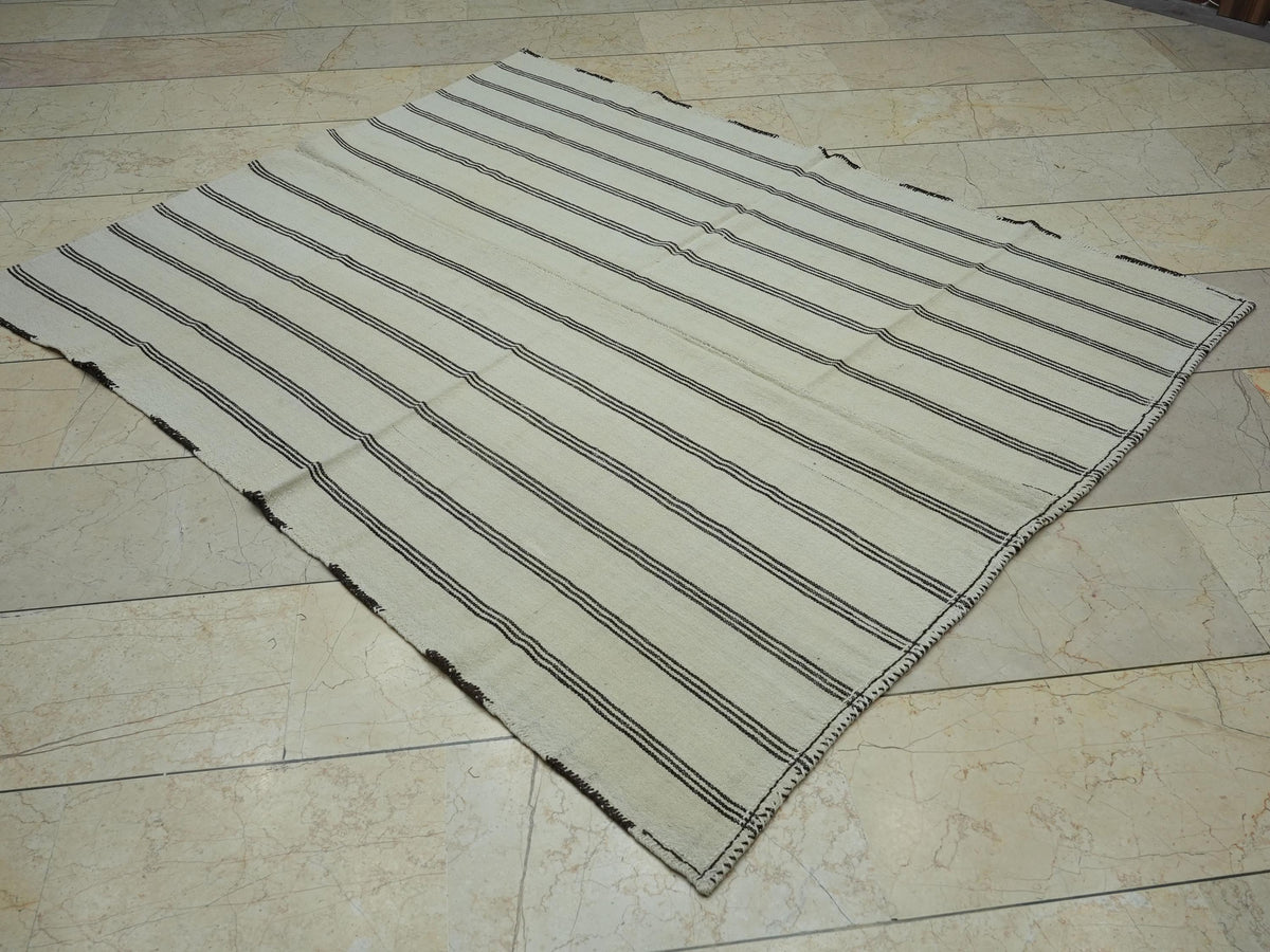 5x6  Striped Flat Weave Turkish Wool Kilim Rug: Scandinavian Style Decor Rugs.