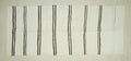Summer Decor Stripe Turkish Hemp Kilim Rug: White & Brown Flat Woven Rugs,5x12 Feet.