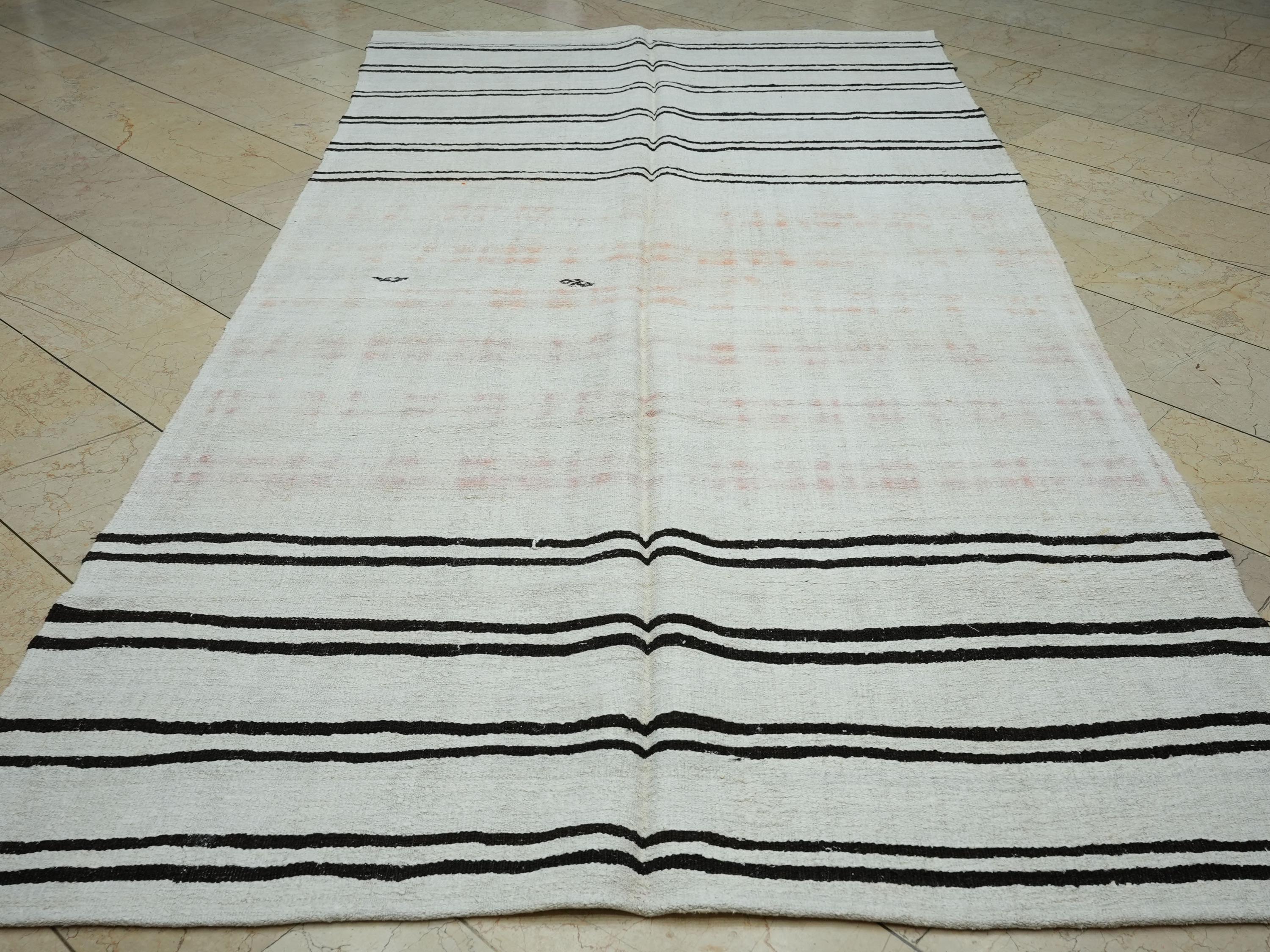 Abstract Flat Woven Hemp Kilim Rug: Mid-Century Modern Stripe Rugs 6x11 ft