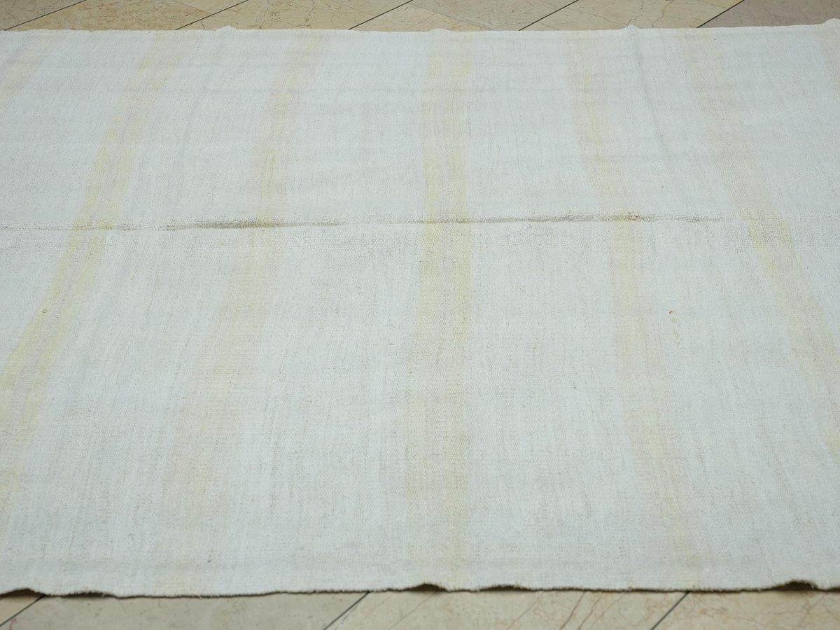 Handmade Hemp Kilim Rug: Turkish Stripe Flat Woven Rugs, 6x9